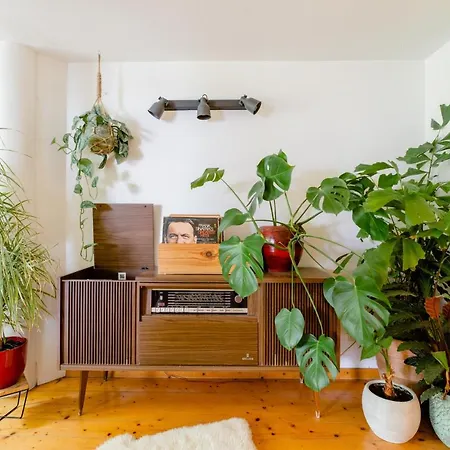 منزل للإقامة Garden Jacuzzi & Dry Sauna In Vintage Oasis With Bikes